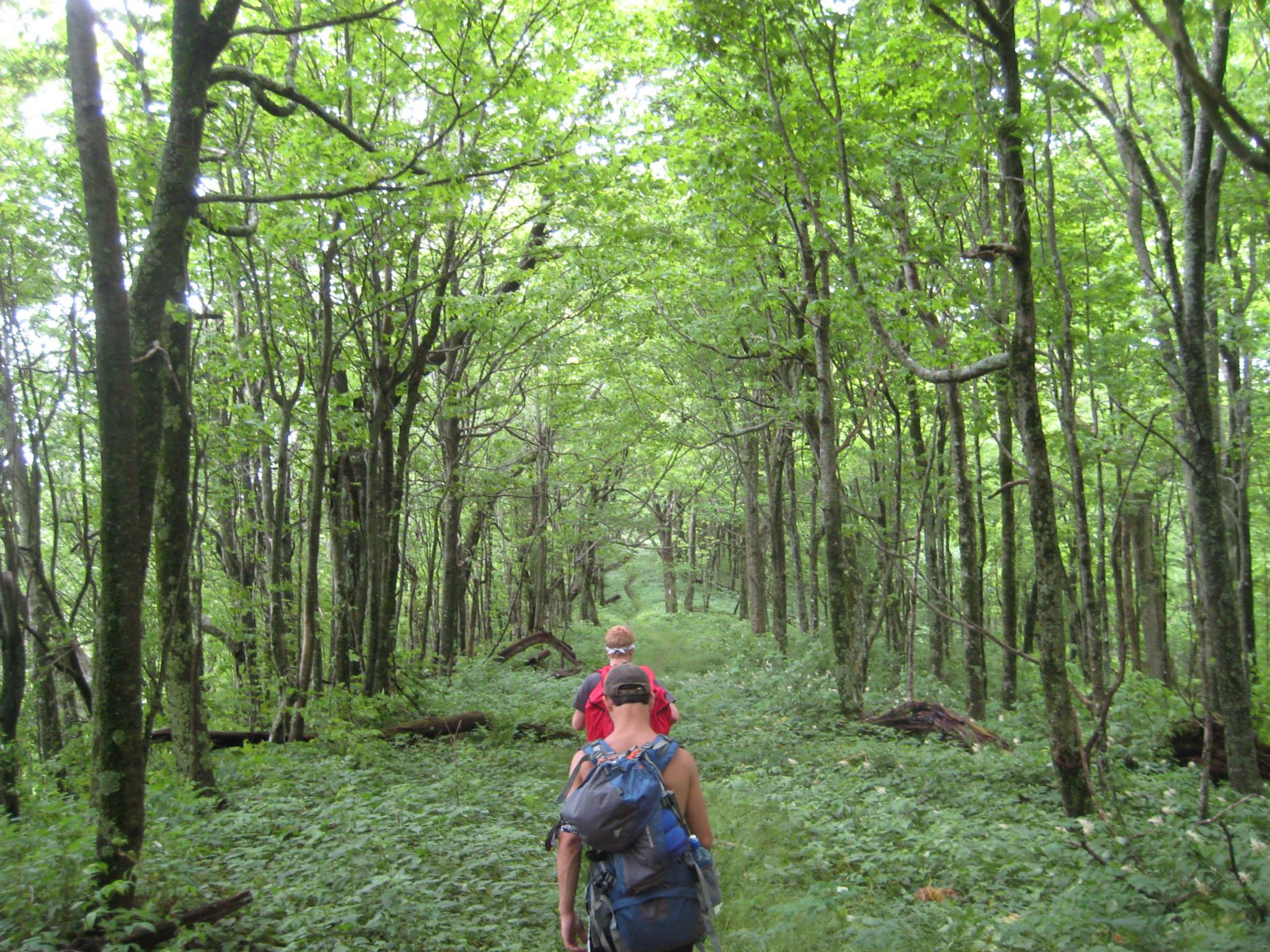 964381_10151738134364575_354064723_o