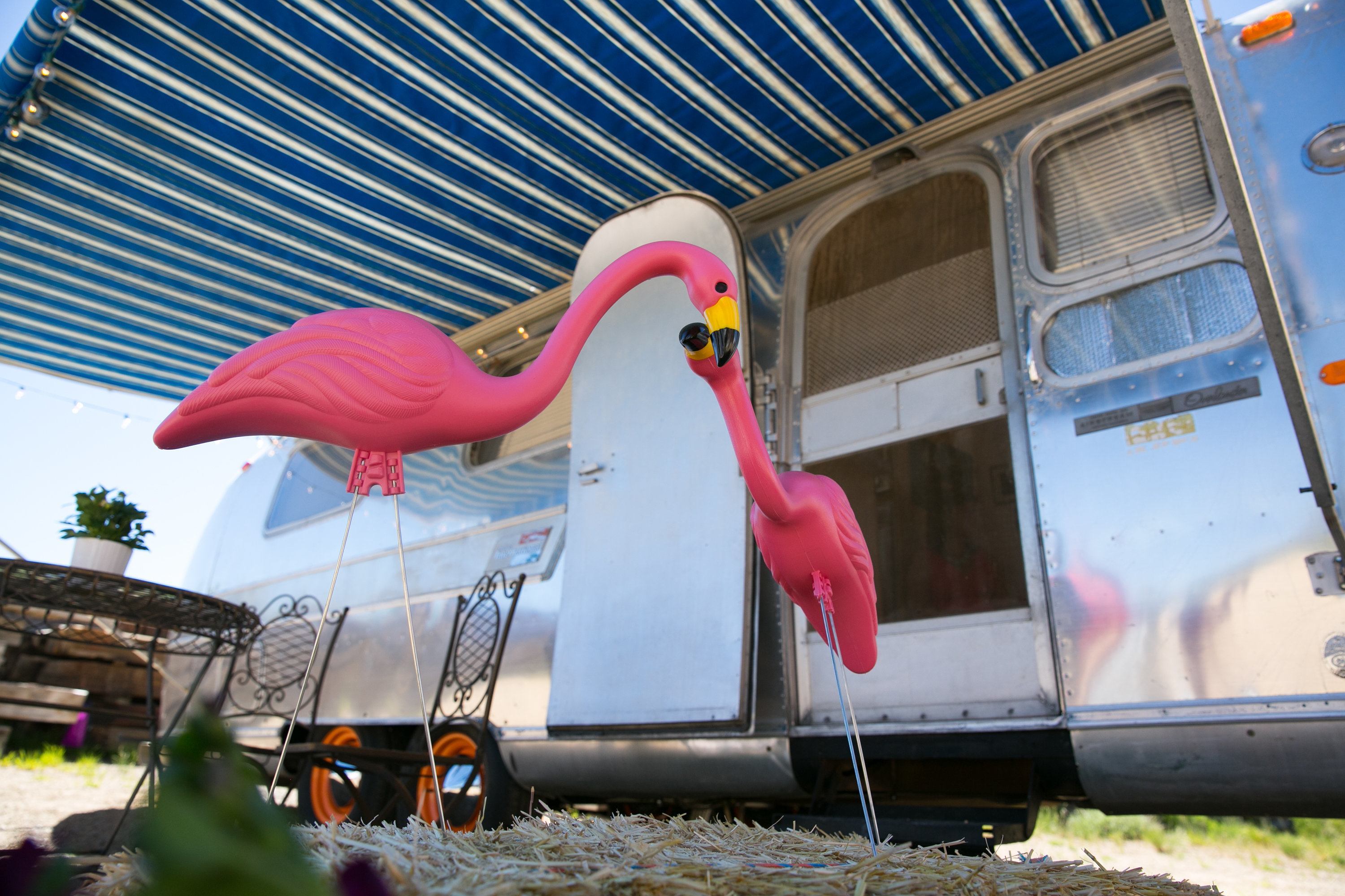 AirFlamingo