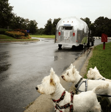 Screen Shot 2015-03-09 at 11.29.45 AM