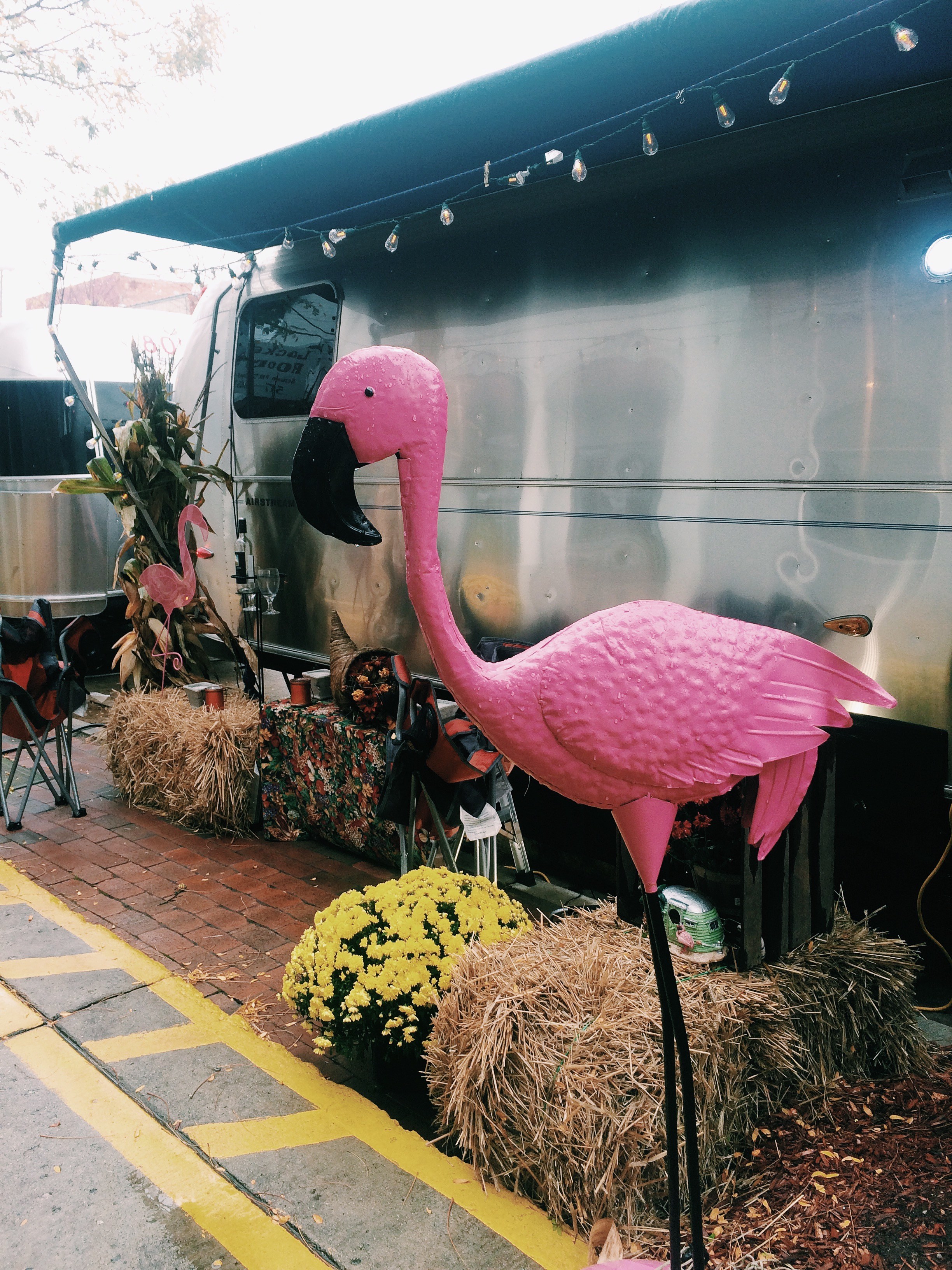 Processed with VSCOcam with c1 preset