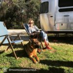 17-Airstream_Blog_National-Pet-Day_img-2-1