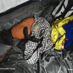 17-Airstream_Blog_National-Pet-Day_img-6-1