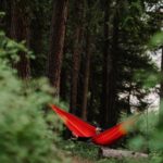 Things We Love: the Kammok Roo Hammock