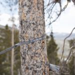 Things We Love: the Kammok Roo Straps