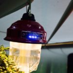 Barebones Living Gallery 4