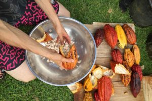 17-Airstream_Blog_Things-We-Love_TreehouseChocolate_Gallery2-img-1