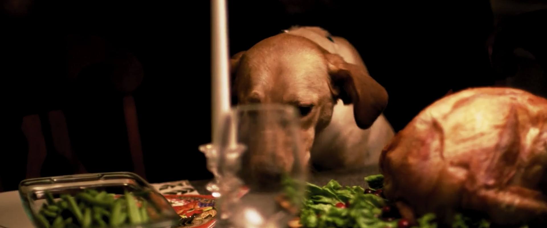 Blog_feature_image_TURKEY