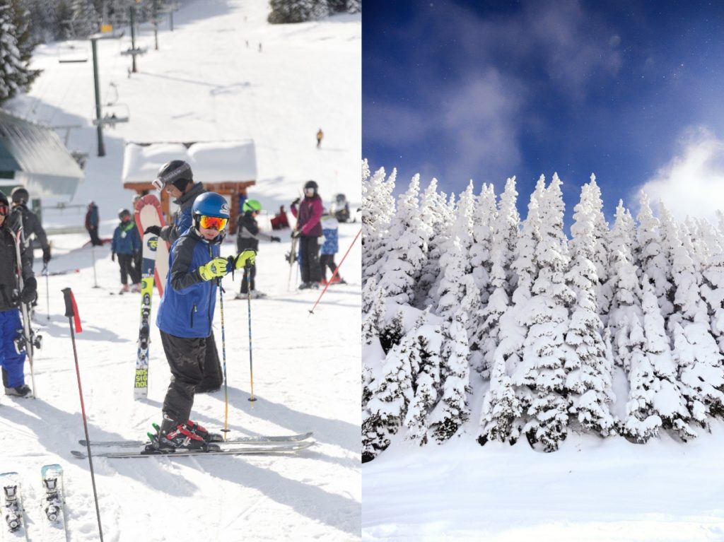 Child on skis and snow covered trees