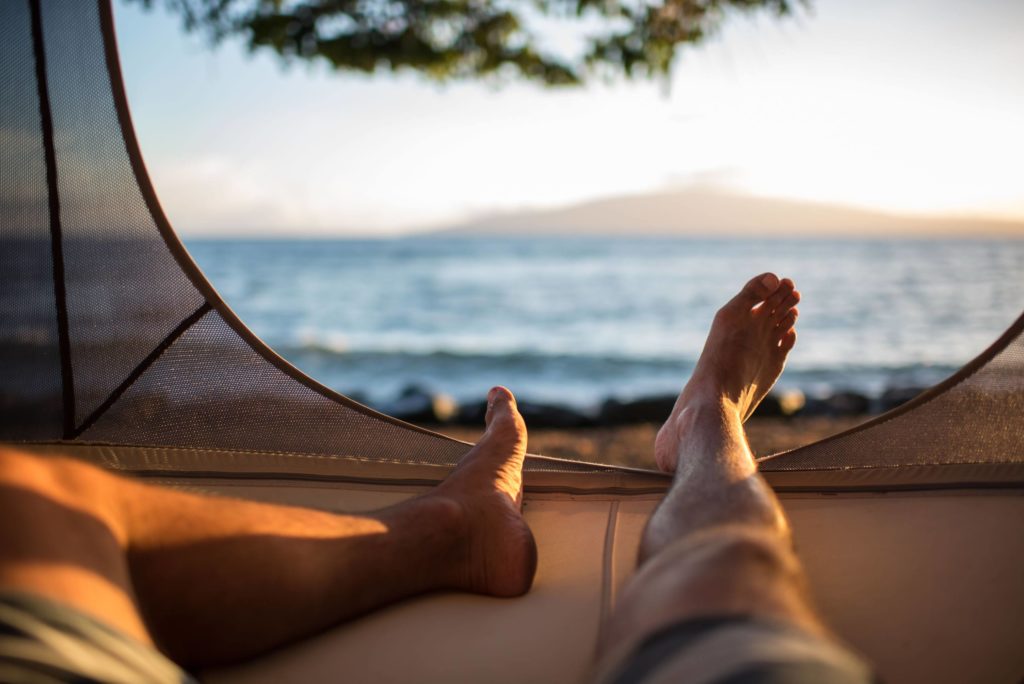 71017-treepod_35666066522_o