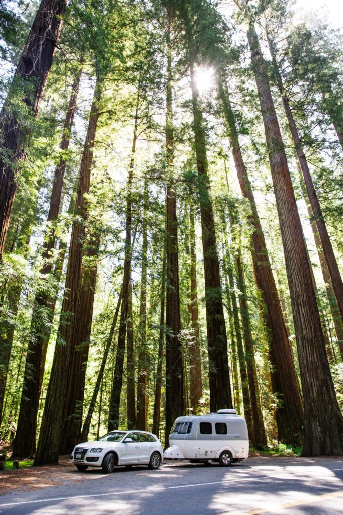 Image: Airstream_LauraAustin_2628-682x1024.jpg