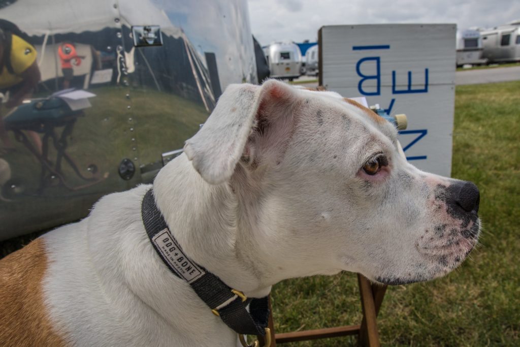 Airstream Alumapalooza