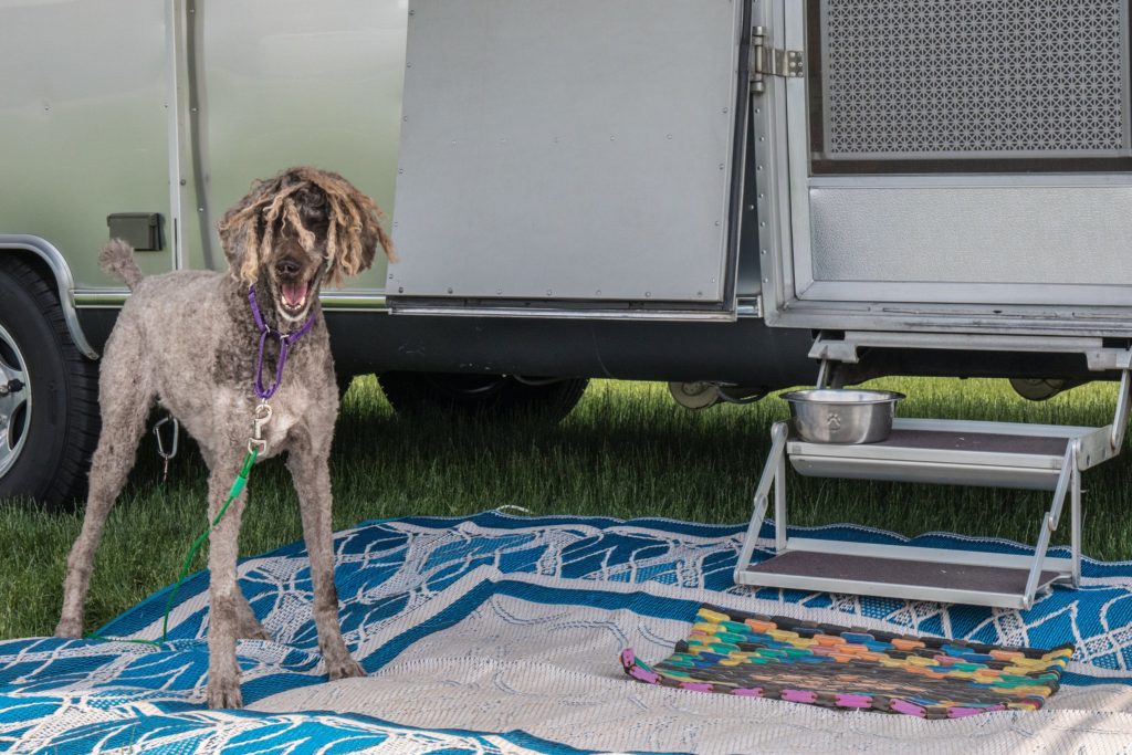 Airstream Alumapalooza