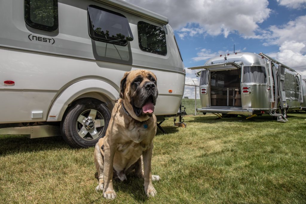 Alumapalooza 9 Airstream