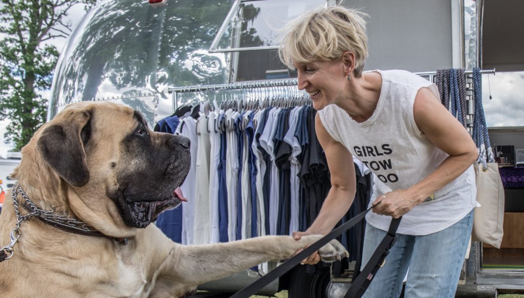 Alumapalooza 9 Airstream