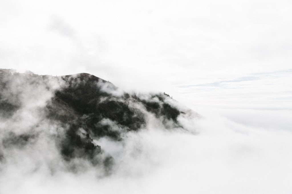 Image: BigSur_LauraAustin_054-1024x682.jpg
