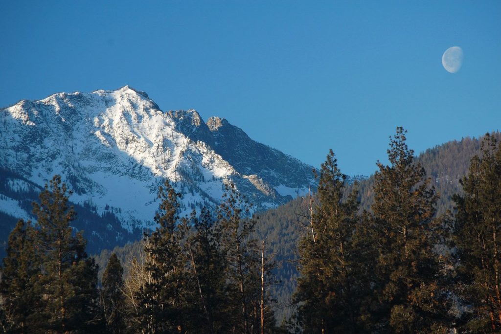 Bitteroot-National-Forest_USFS,-Roger-Peterson