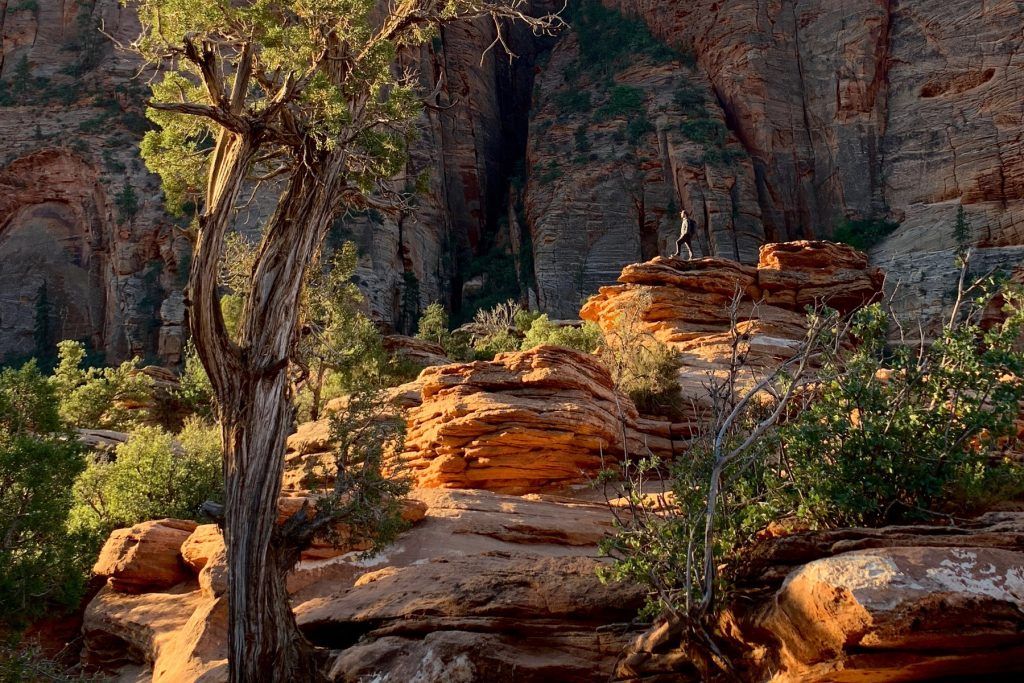 Austin Mann Airstream Basecamp Ambassador Nature