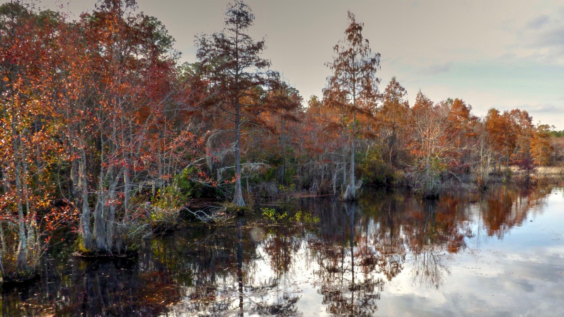 Laura-s-walker-state-park-fall-camping
