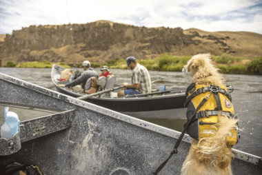 Image: Screen-Shot-2015-07-07-at-10.36.11-AM-380x254.png