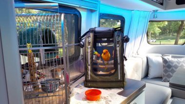 Image: West-Nest-3-380x214.jpg