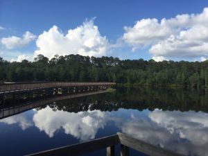 laura-s-walker-state-park-2