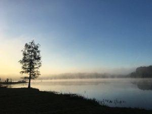 laura-s-walker-state-park