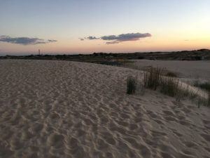 monahans-sandhills-state-park-1