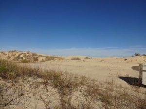 monahans-sandhills-state-park-2