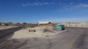 monahans-sandhills-state-park-3