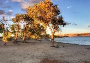 silver-springs-beach-campground-3