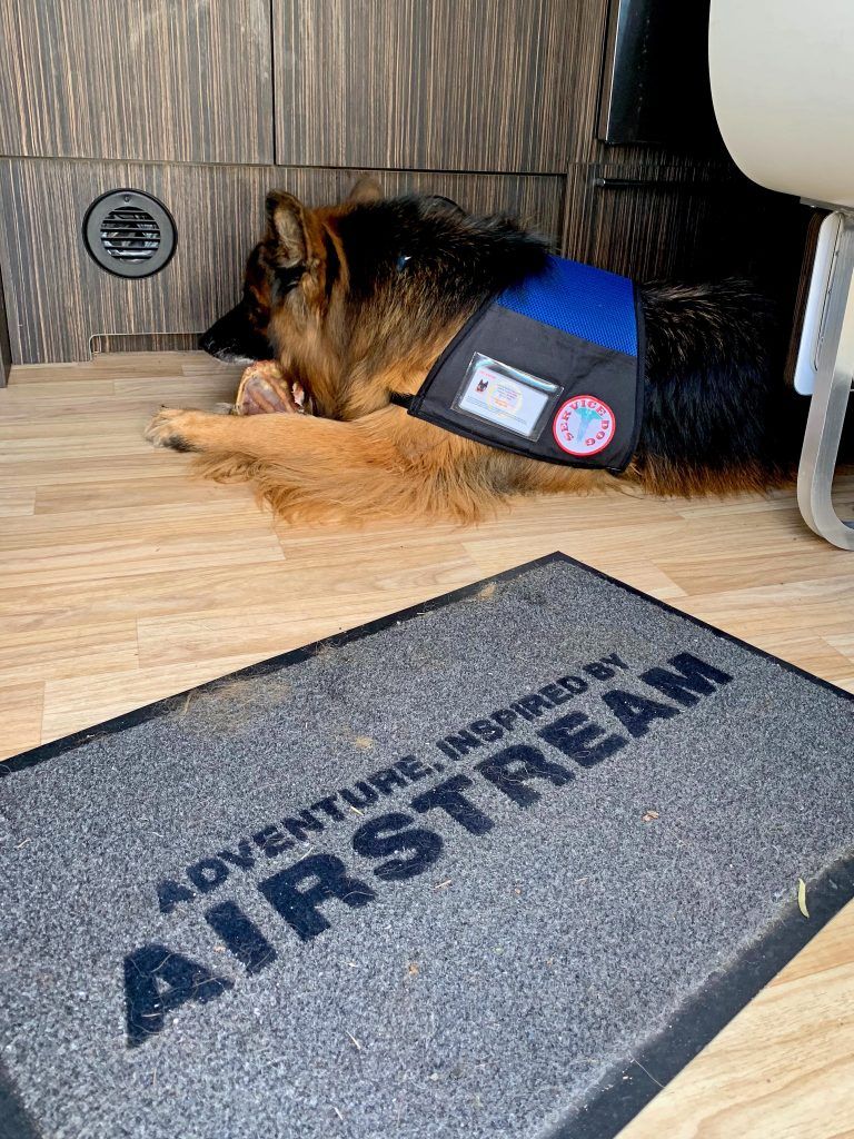 Image: ADU_New-Orleans_Gigi-in-the-Airstream-after-walking-around-New-Orleans-exhausted-no-more-photos-of-Gigi-please-768x1024.jpg