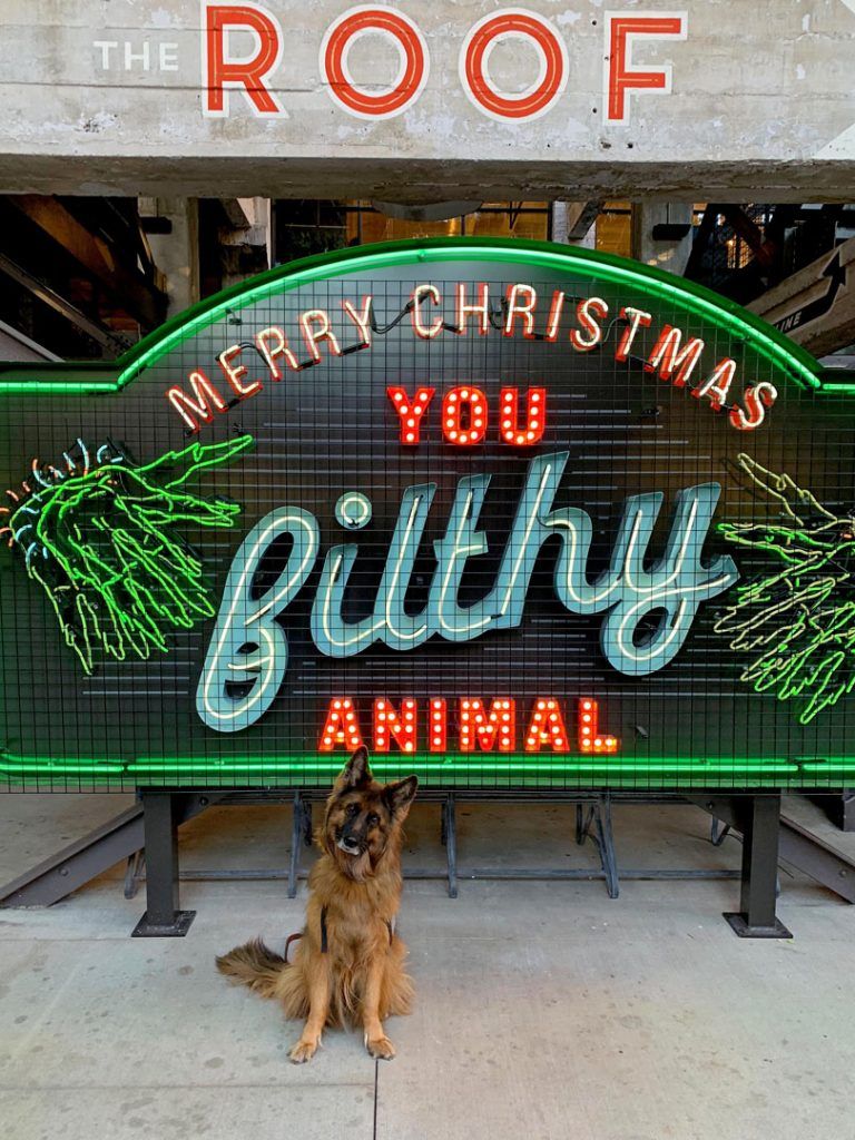 Gigi being a filthy animal in Atlanta at Ponce City Market