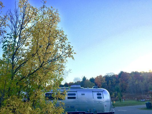 Image: hartwick-pines-state-park.jpeg