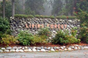 living-forest-oceanside-campground-3