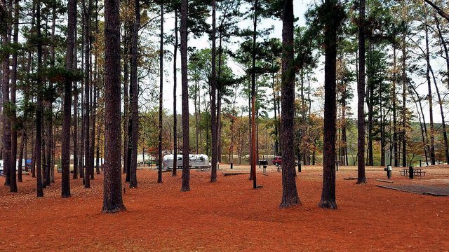 Image: white-oak-lake-state-park.jpg