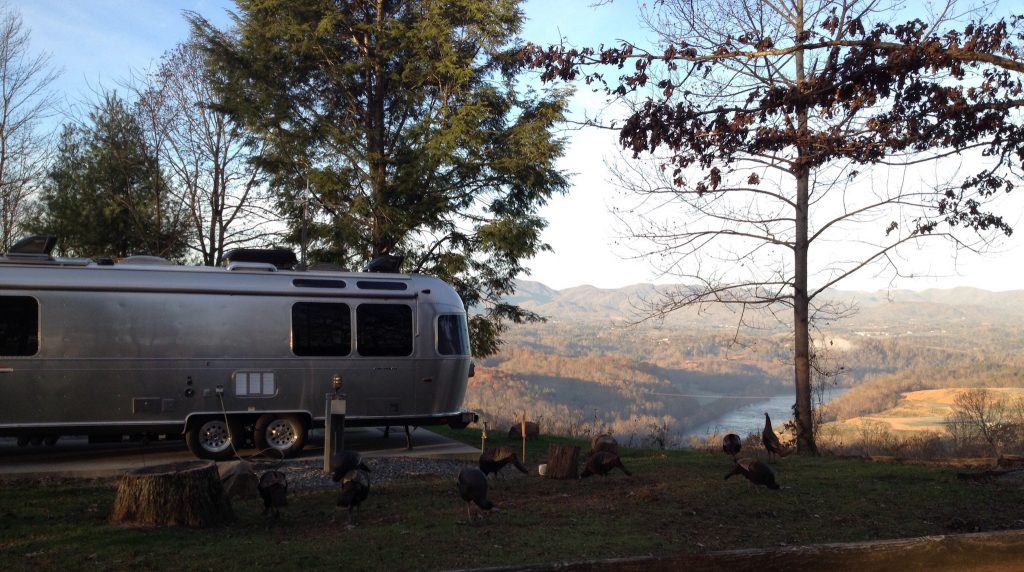 Image: 16-1024x572.jpg