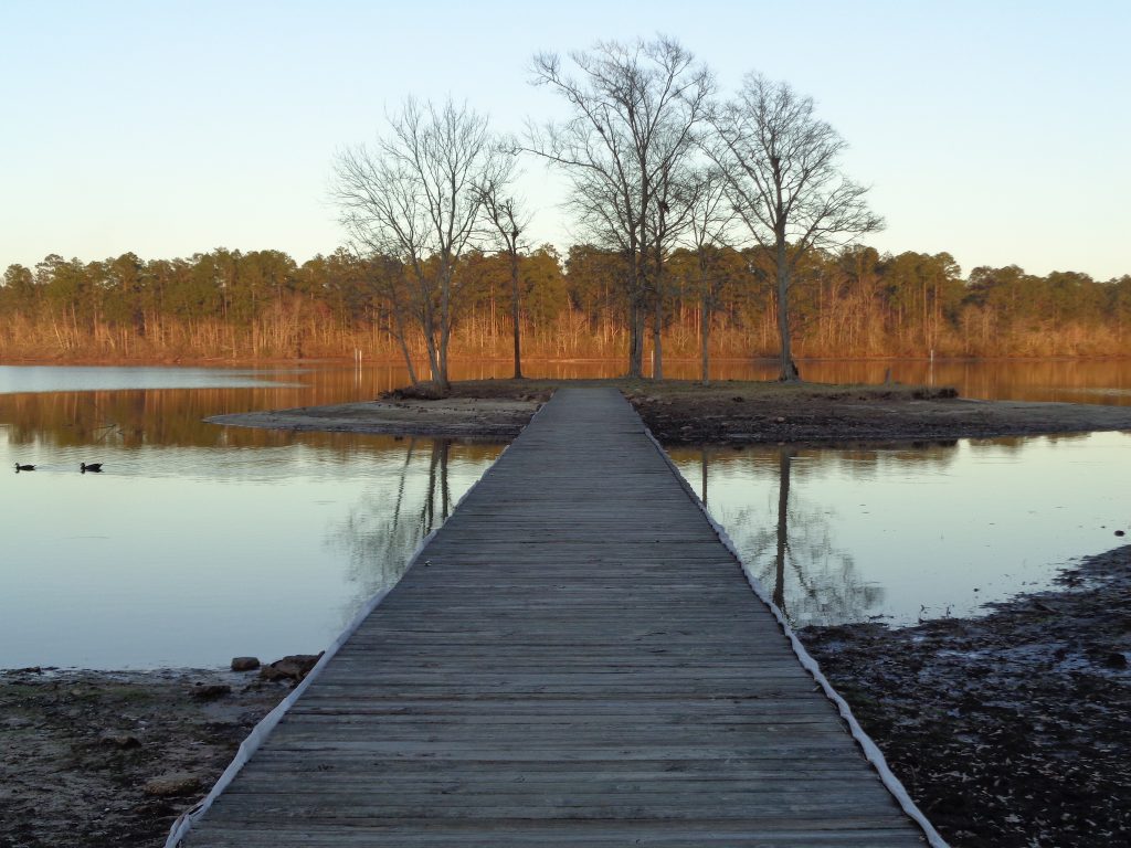 Image: 19-1024x768.jpeg