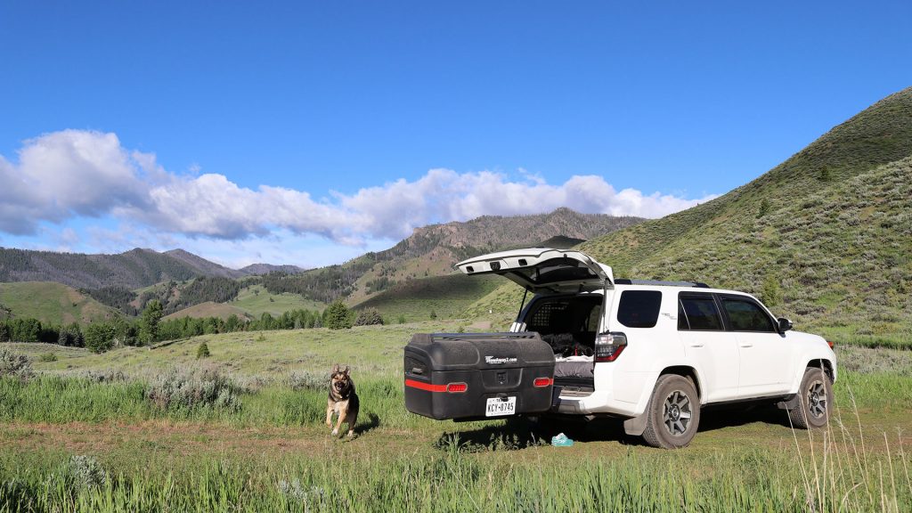 Cass-Beach-Ambassador-dog-SUV-adventure