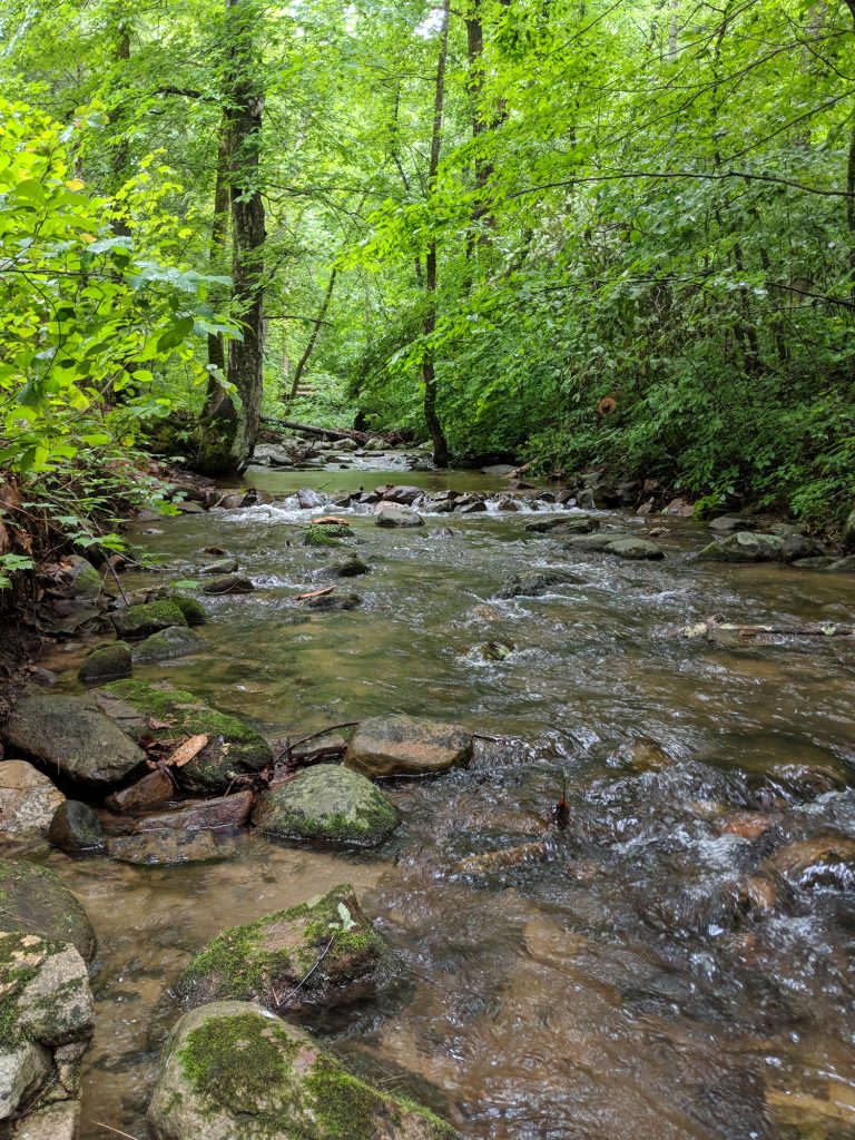 Image: Cave-Mountain-Lake-Recreation-Area-George-Washington-National-Forest-Natural-Bridge-Station-VA-768x1024.jpg