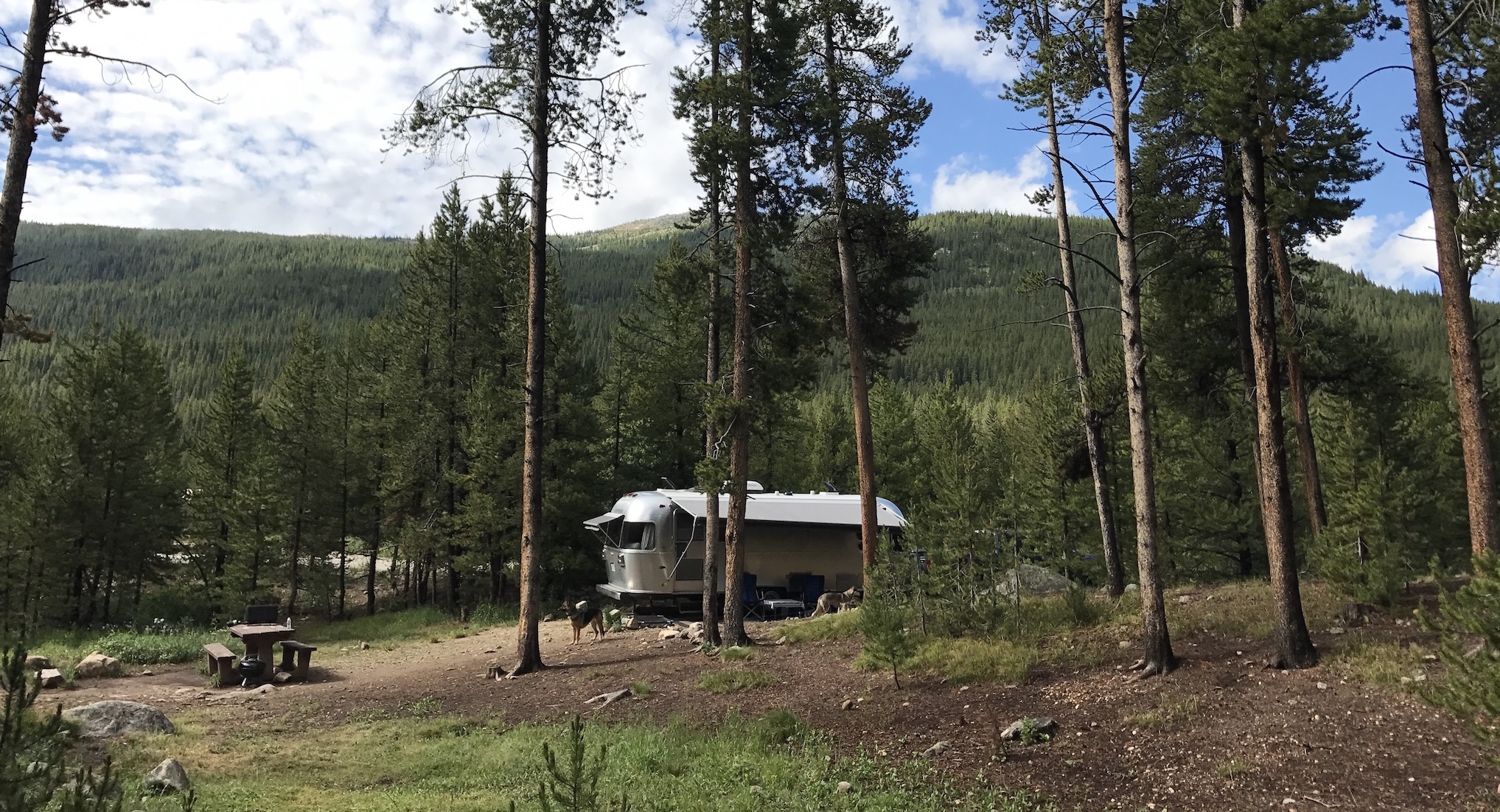 uploads_2F1501096072053-yj6uwnnwq93v-e6ade6694f233098a662249c96bba012_2FMayQueenSite-1-1