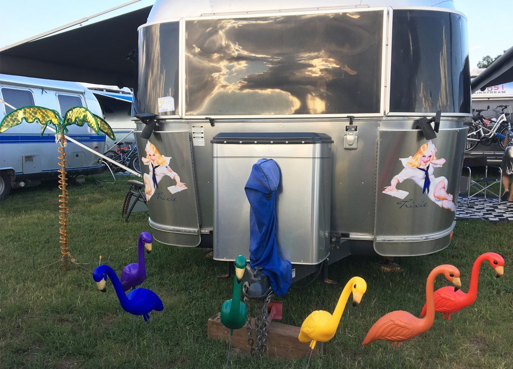 Flamingos-at-Airstream-Campsite