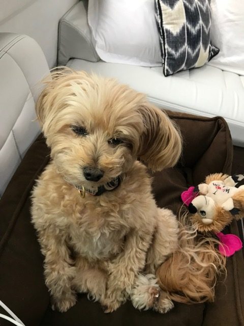 Ken Cain Touring Coach Blog Airstream 4