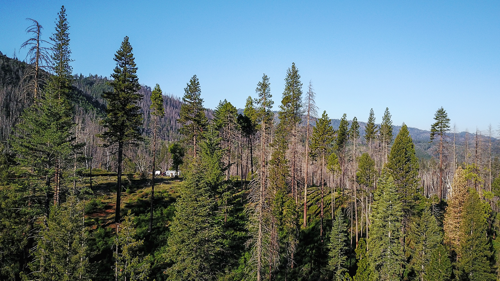 Public-Lands-Airstream-Camping Desktop Hero