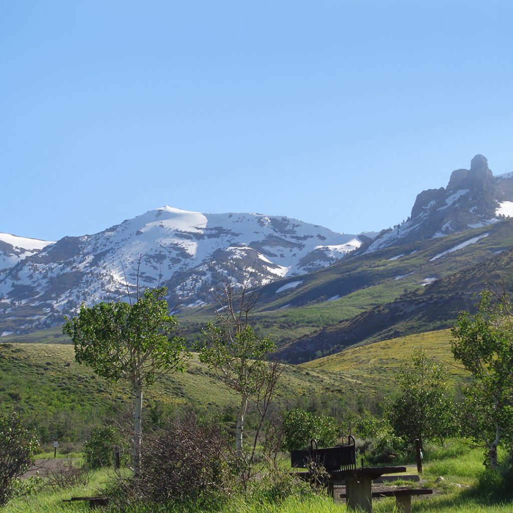 Image: Angel-Creek-Campground-Humboldt-Toiyabe-National-Forest-Airstream-1024x1024.jpg