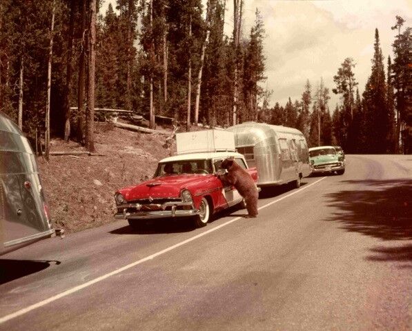 Ardean Miller Blog 12