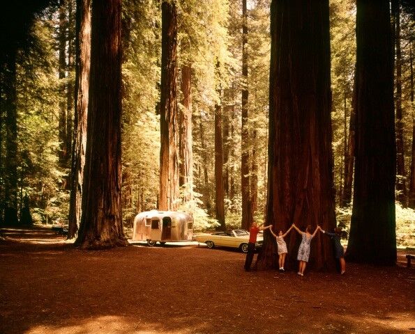 Ardean Miller Blog 7