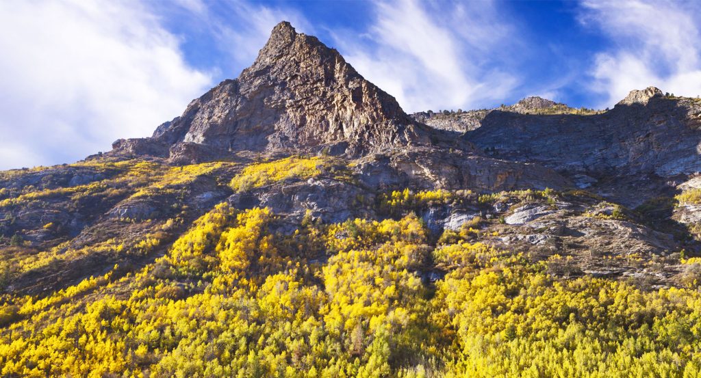 Image: Iron-Horse-RV-Resort-Airstream-1024x553.jpg