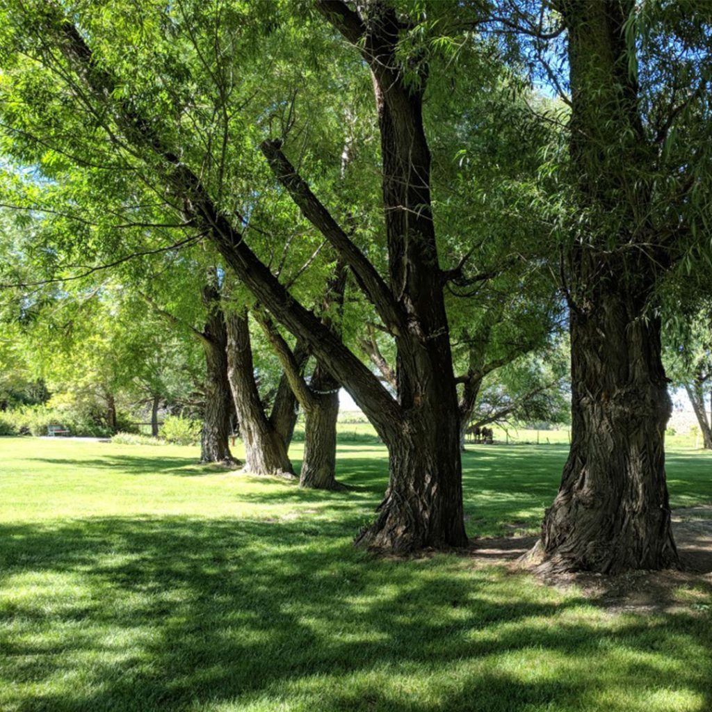 Image: Welcome-Station-RV-Park-Airstream-1024x1024.jpg