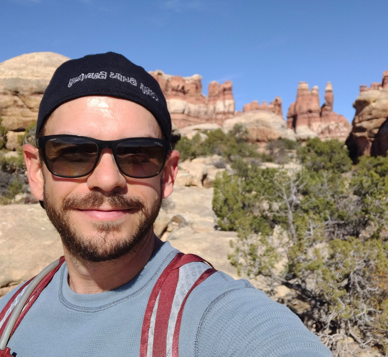 Zachary Scholz ACC Preview