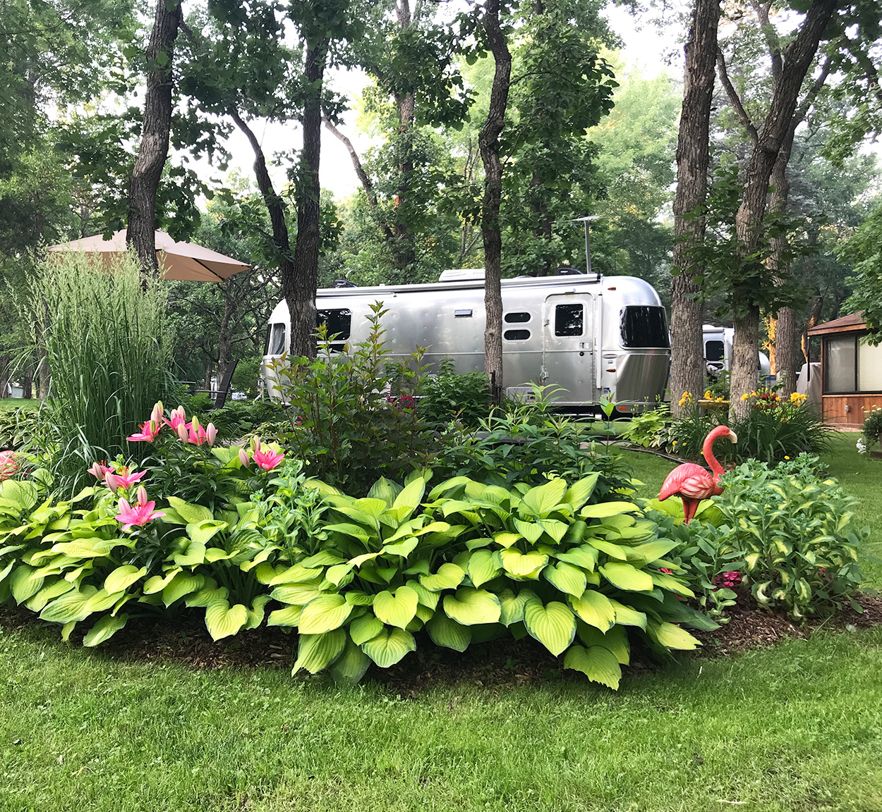 Airstream Travel Trailer in a garden with pink flamingo and trees